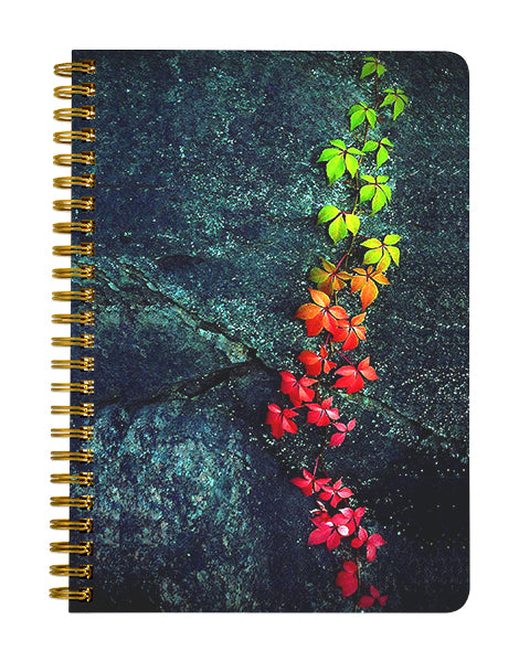 Flowers on Mountain Notebook